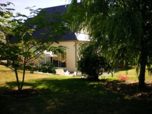 jardin vue arrière de la maison