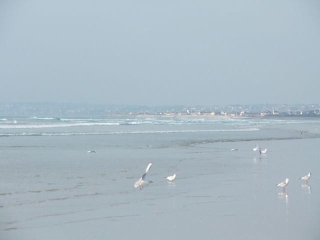 Plage de tréogat